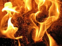 База отдыха горела в Затоке в Одесской области