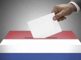 Голландский референдум касался Украины только формально - евродепутат