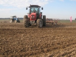 Аграрии Кировоградской области запланировали получить урожай зерновых на уровне 2015 г