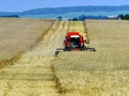 Правительство Украины выделит 300 миллионов гривен для поддержки аграриев