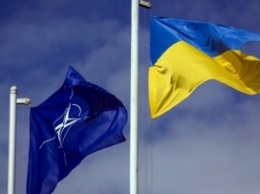 Украину посетит заместитель генсека НАТО