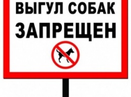 Сумчане просят запретить выгул собак в парках