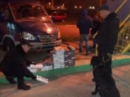В Ильичевском порту обнаружена контрабанда сигарет (+фото, видео)