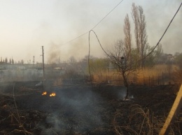 В Николаеве горящий камыш повредил линию электропередач