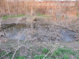 Луганчане показали жуткое захламление реки Ольховки (ФОТО)