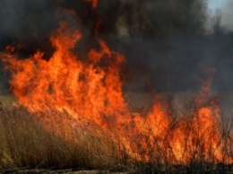 ГСЧС ликвидировала пожар на Днепропетровщине площадью 20 га
