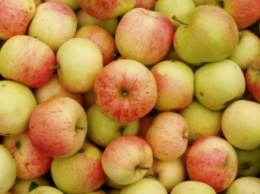 Яблоко в день снижает риск ранней смерти на треть