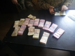 Мужчина в Марьинке спрятал под ковриком автомобиля почти 300 тыс. грн