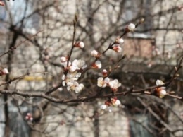 Весна на улицах Славянска