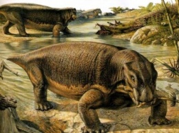 Палеонтологи раскрыли «секрет успеха» листрозавров
