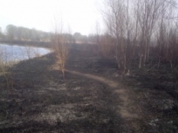 В Полтавской обл. спасатели за минувшие сутки ликвидировали 8 пожаров на открытой территории