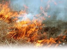 В Славянском районе горели гектары сухой травы
