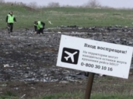 Покушались на убийство главного эксперта в деле MH17: Матиос