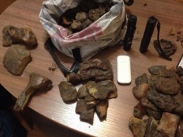 Правоохранители изъяли 3 кг янтаря в Ровенской области