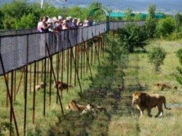 Накануне курортного сезона в Крыму закрылись два самых больших и знаменитых крымских зоопарка