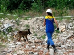Всеукраинские соревнования собак-спасателей снова проведут в Павлограде
