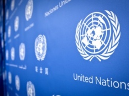 Боевики "ДНР" захватили в плен сотрудника Миссии ООН в Украине