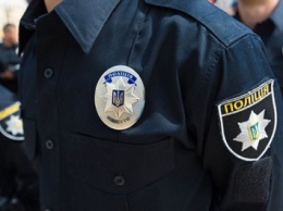 Х.Деканоидзе призвала школы сотрудничать с патрульной полицией