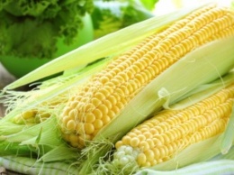 Китай планирует сократить закупки украинской кукурузы