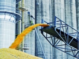 Украина экспортировала почти 32 млн тонн зерновых