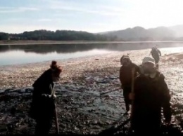 В Чили на берег выбросило 700 тонн сардин