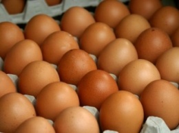 В Мариуполе резко подешевели яйца
