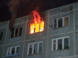 Во время пожара на Большой Васильковской погибла женщина