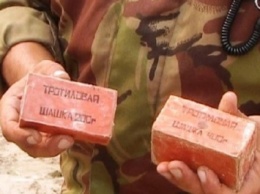 Правоохранители изъяли 2 кг тротила и 2 гранаты у жителя Житомирской области