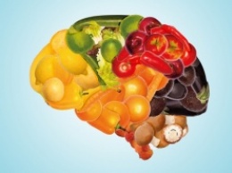 10 продуктов для молодости мозга: лучшей профилактики болезни Альцгеймера не найти!
