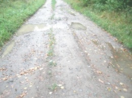 В Закарпатской обл. в результате непогоды размыло дороги и повалило дерева