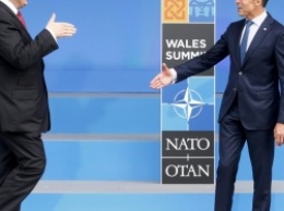 Украина и Грузия могут стать «ассоциированными партнерами» НАТО