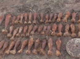 В Черниговской области снова нашли 11 боеприпасов времен войны