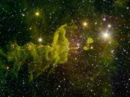Специалисты NASA: Туманность «Паука» скрывает молодые звезды