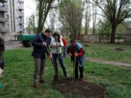 Стартовали работы по озеленению Днепродзержинска