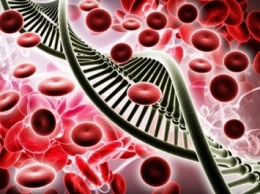 Японские ученые нашли гены рака крови