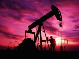 ОПЕК решает судьбу мировой нефтедобычи без представителя Ирана