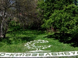 На Певчем поле в Киеве открывается выставка тюльпанов