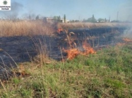 Патрульные Николаева помогли тушить пожар в парке «Лески»