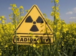 Радиоактивными могильниками в Днепродзержинске занимается МАГАТЭ