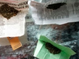 В Житомире патрульные задержали двух парней с наркотиками