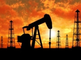 Полтавские депутаты не дали разрешения на разработку и добычу нефти