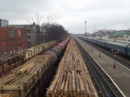 Прокуратура проведет экспертизу относительно происхождения 22 вагонов леса задержанного в г. Чоп