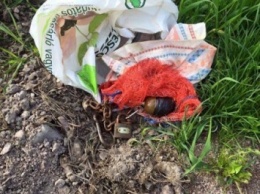 Житель Житомирской области обнаружил растяжку с гранатой в собственном дворе