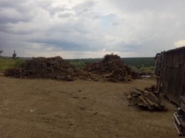 На Луганщине нелегальный бизнес нанес ущерб экологии на 50 млн грн (ФОТО)