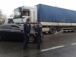 В Николаевской обл. активисты более полутора часов блокировали движение по трассе, требуя выделения земель под пастбища