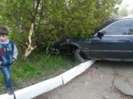 Мариупольский водитель повредил столб и дерево (ФОТО)