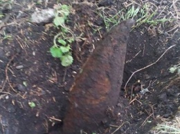В Первомайском районе искали металлолом и нашли два снаряда