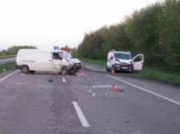 В Ровенской обл. столкнулись два автомобиля, погибли водитель и лось, выбежавший на дорогу