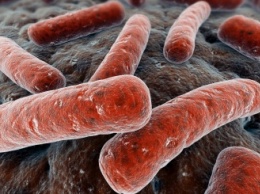 Ученые: Новый препарат от туберкулеза может спасти тысячи больных