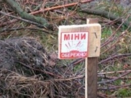 В Донецкой области саперы проверили 20 кладбищ в районе линии разграничения